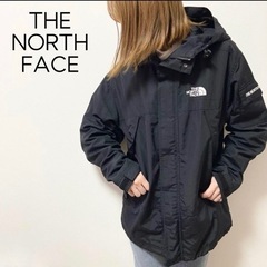 【ネット決済】日本未入荷　海外限定モデル　THE NORTH F...