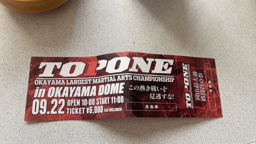 TOP ONE 格闘技イベント ペアチケット\n