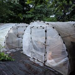 栃木県の温室の中古が安い！激安で譲ります・無料であげます｜ジモティー 