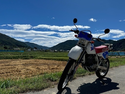 スズキ HONDA XLR250