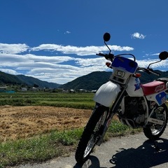 【ネット決済・配送可】HONDA XLR250