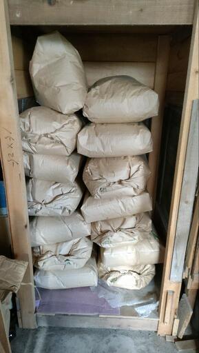 令和6年新米　自家栽培　あきたこまち30kg