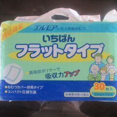 大人のおむつ　２０枚＋２枚くらい　フラットタイプ