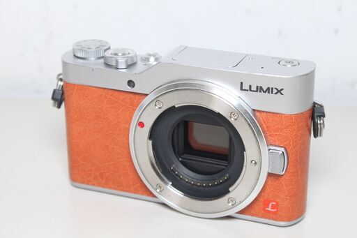 Panasonic/LUMIX DC-GF9/ダブルレンズキット/ミラーレス一眼 ⑥
