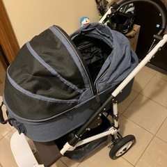 エアバギー　猫　