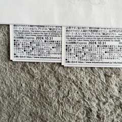 ディズニーパークペアチケット