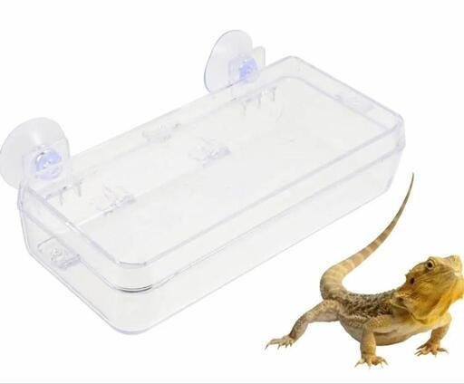 大特価！レア商品！爬虫類 フィーダー アクリルケージ 飼育ケース　給水器