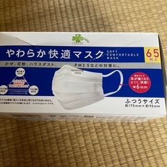 0円❗️未開封マスク　【条件あり】