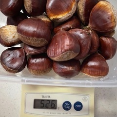 自然栽培　大きめの栗 L〜3L① 500g