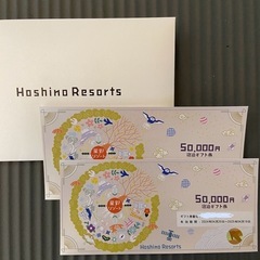 星野リゾート 宿泊券10万円分