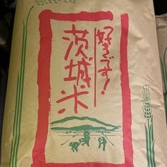 新米　令和6年度　茨城県産コシヒカリ　玄米30kg 2袋のみ