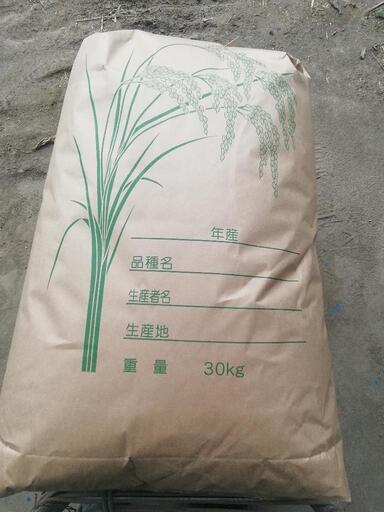 コシヒカリ玄米３０ｋｇ　令和６年収穫