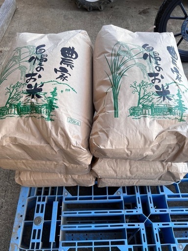 令和５年　コシヒカリ２０キロ　玄米　天日干し　冷蔵保存