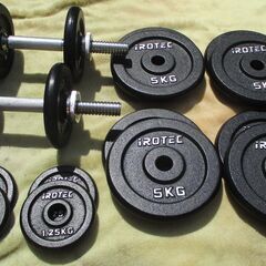 ☆アイロテック iROTEC ダンベルセット 55kg◇ジム代も浮いて自宅で 