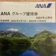 ANAグループ優待券