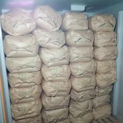 売り切れ完売令和６年産新米　粒すけ　30kg10袋 売り切れ完売令和6年産新米 粒すけ 30kg10袋