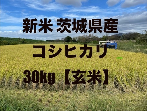 【令和6年】茨城県産コシヒカリ 30kg（玄米）③