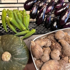 今朝採れ　昨日採れ　野菜