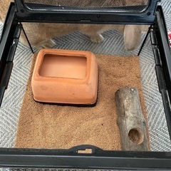 ※3/10までの販売 【限定値下げ中】 爬虫類飼育セット まとめ売り【値下げ交渉有】 3/10までの販売 【限定値下げ中】 爬虫類飼育セット まとめ売り