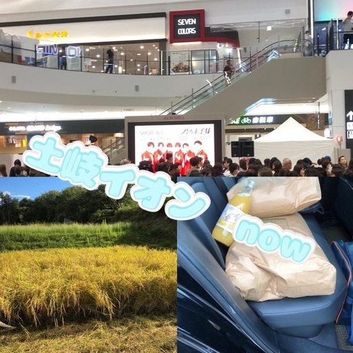【新米コシヒカリ】土岐イオン