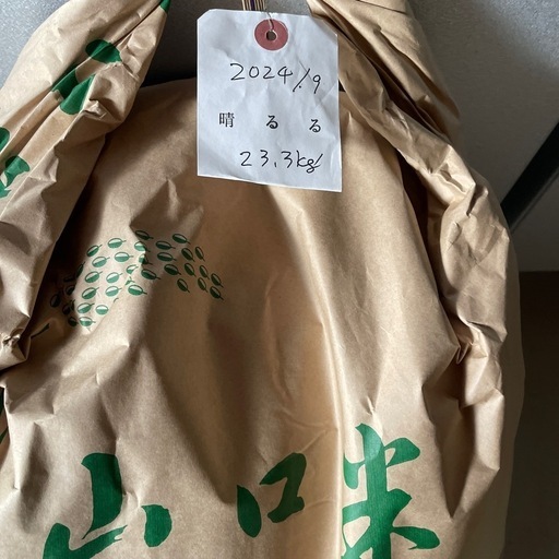 本日値下げ 大型絵画 ミッシェルアンリ シルクスクリーン リトグラフ