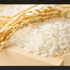 お取引中※山口県萩市産 コシヒカリ 30キロ 古米 令和5年