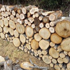 割り込み薪?薪ストーブ? 原木玉切り販売もします