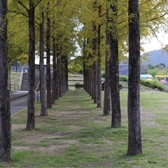 カメラ好き集まれ📷