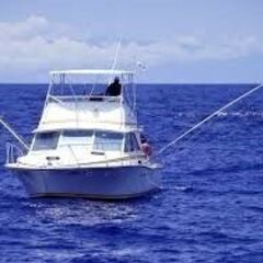 トローリング竿、てんてん竿  　青物釣り