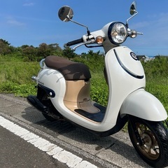  HONDA ジョルノ2019年　高年式　現行 FI車　GIOR...