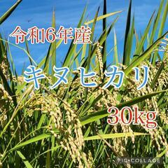 一旦ストップいたします。新米　キヌヒカリ　玄米　30kg　令和6年産　奈良県産　きぬひかり