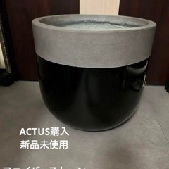 2　値下一切不可 新品 15000円 ACTUS バルゴ33 植...