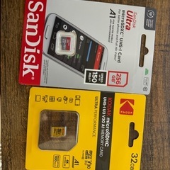 Sandisk Ultra 256gb，Kodak Micro ...