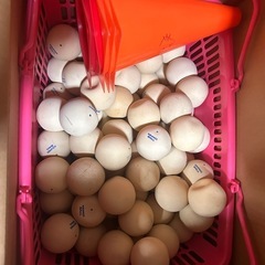 ソフトテニスボール