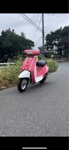 ミント50 実働
