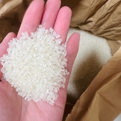 令和6年度米 新米 キヌヒカリ米 美味しい米 精米済み 白米27キロ 11900