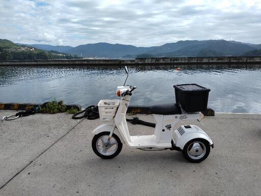 カブとの交換可能)  ホンダjoy
