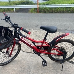 自転車20センチ