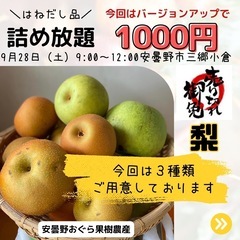 梨の詰め放題1000円