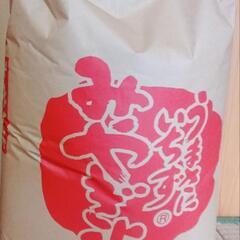 令和6年　新米　もち米　玄米30kg