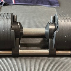 フレックスベル20kg×2 (2kg刻み) 