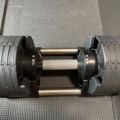 フレックスベル20kg×2 (2kg刻み) 