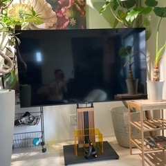 Xiaomi 4K 液晶 テレビ 65V型 Google TV チューナーレス スマート