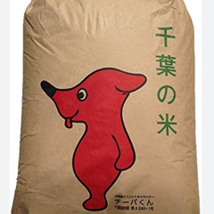 千葉県産コシヒカリ玄米 30kg 2023年 成田市