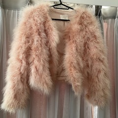 北海道のファーコートの中古が安い！激安で譲ります・無料であげます  