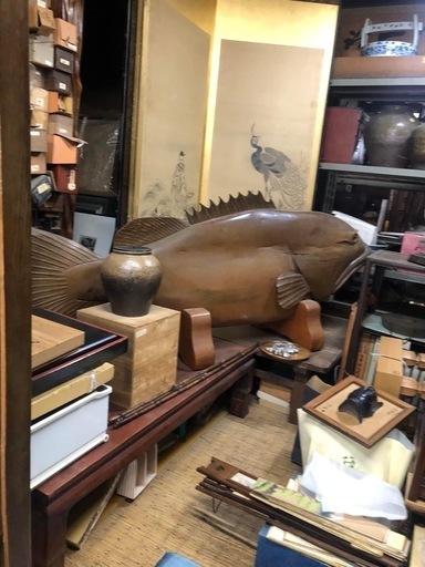 トチの木　魚