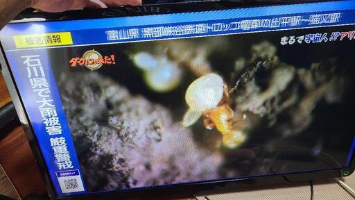 最終値下げ‼️TOSHIBA　32V型 液晶テレビ(壁掛け専用) 　No30