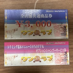 ワンラブ　商品券とサービス券セット