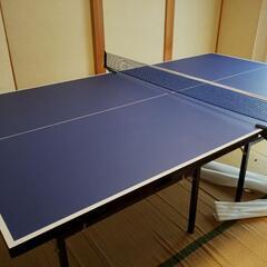 【直接引取限定】ティゴラ卓球台国際規格サイズ