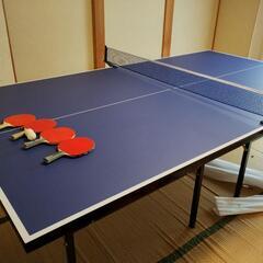 【直接引取限定】ティゴラ卓球台国際規格サイズ